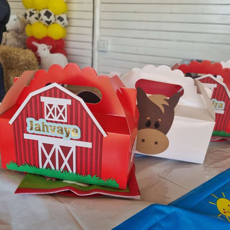FARMYARD/ BARNYARD/ FARM PARTY PACK 5 BOXES