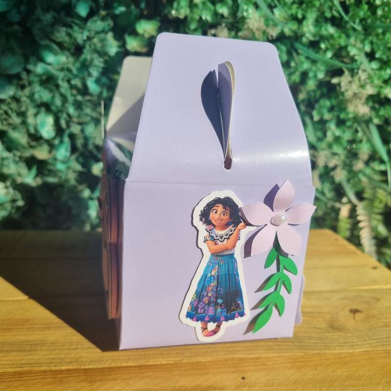 ENCANTO PARTY PACK 5 BOXES