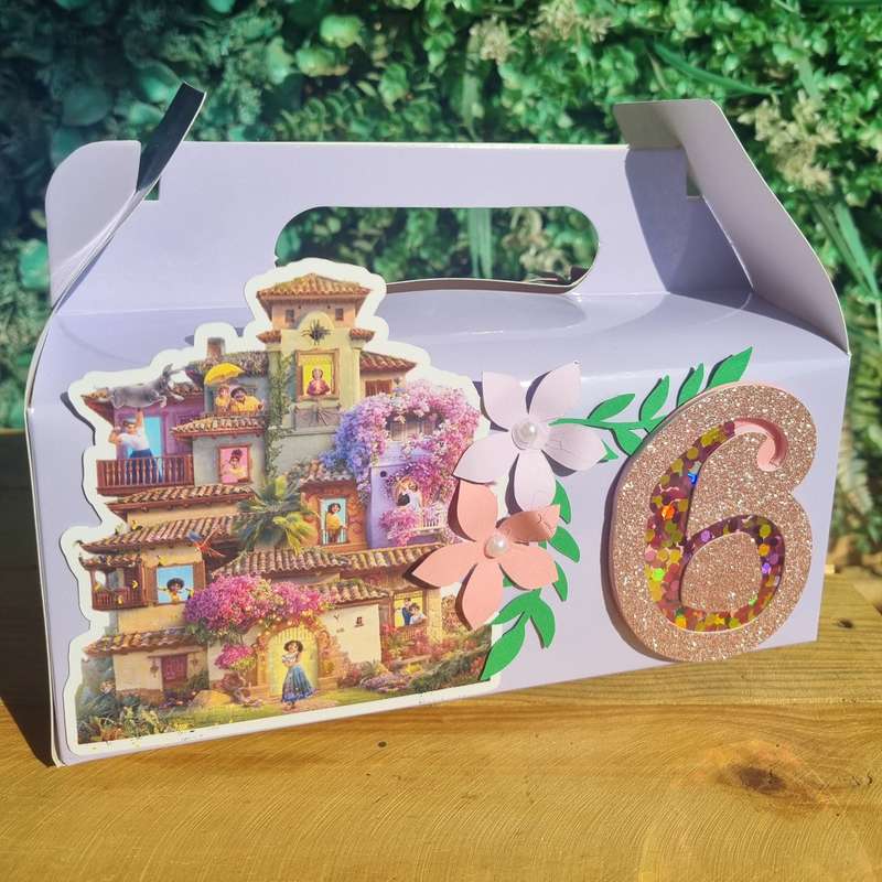 ENCANTO PARTY PACK 5 BOXES