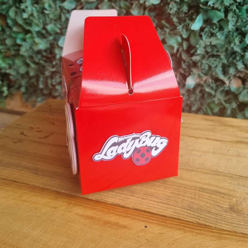 MIRACULOUS LADYBUG PARTY PACK 5 BOXES