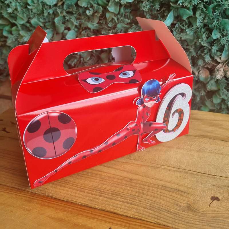 MIRACULOUS LADYBUG PARTY PACK 5 BOXES