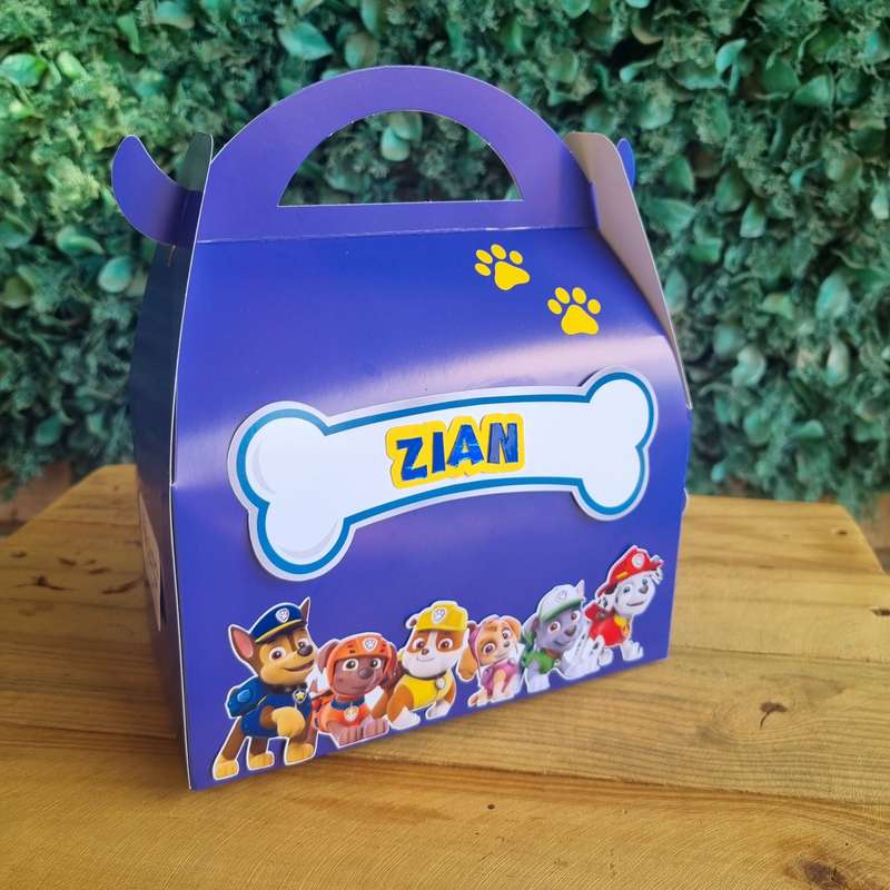 Paw Patrol Party Pack Box Set of 5