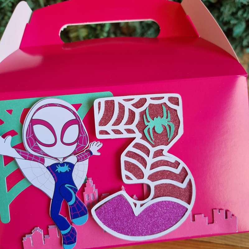 SPIDERGIRL PARTY PACK 5 BOXES