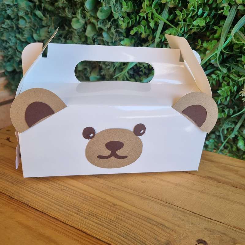 BEAR PARTY PACK 5 BOXES