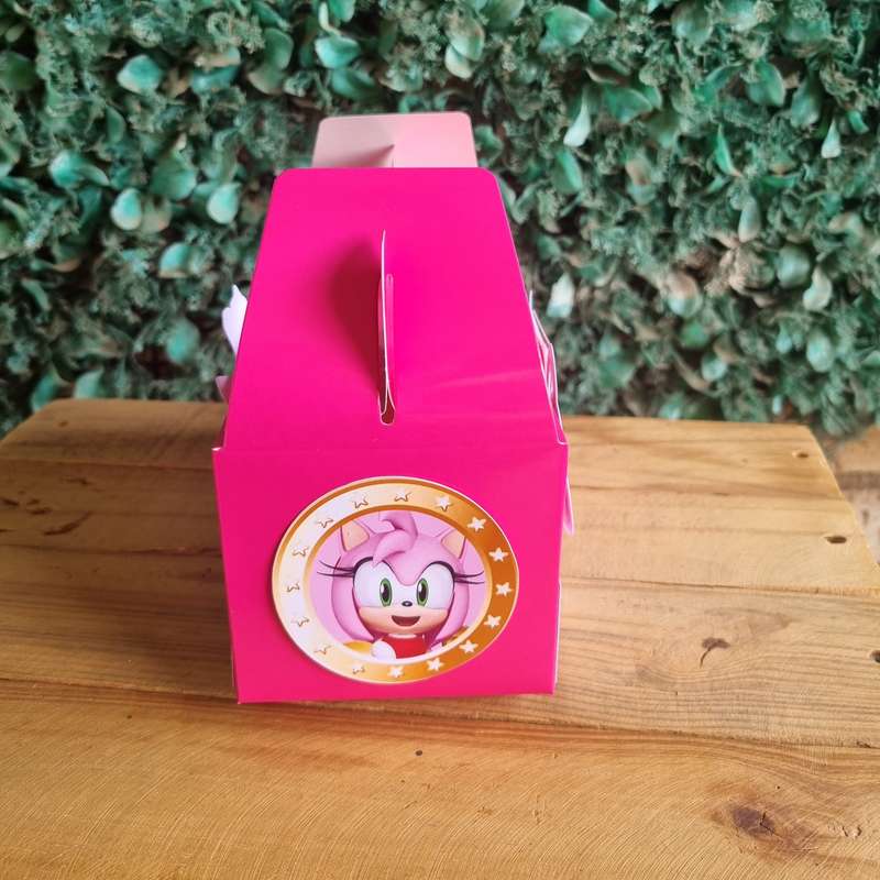 SONIC'S AMY ROSE PARTY PACK 5 BOXES