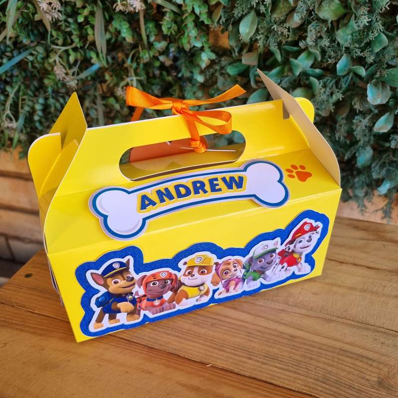 Paw Patrol Party Pack Box Set of 5