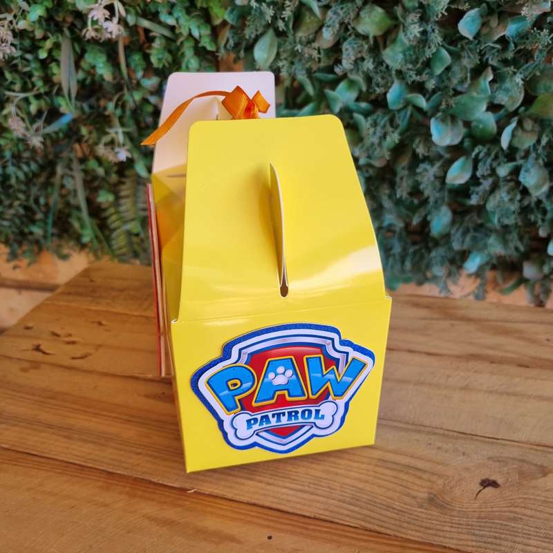 Paw Patrol Party Pack Box Set of 5