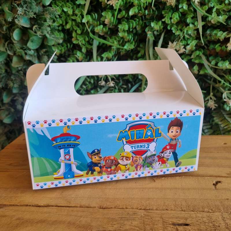 Paw Patrol Party Pack Box Set of 5