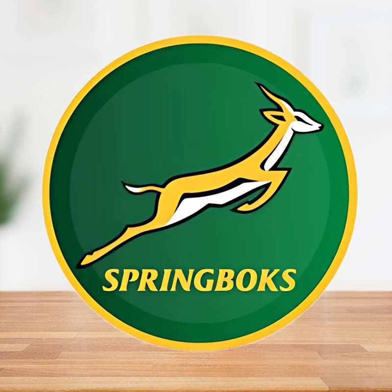 Springbok Themed Paper Plates  23cm Pack of 8