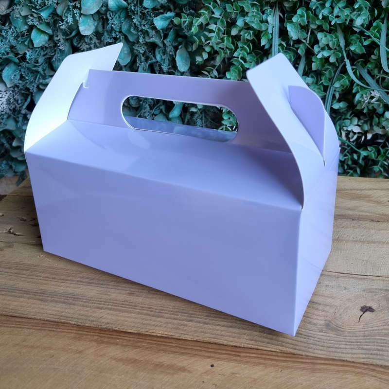 Plain Party Box Pack of 10 Lilac/light purple/pastel purple