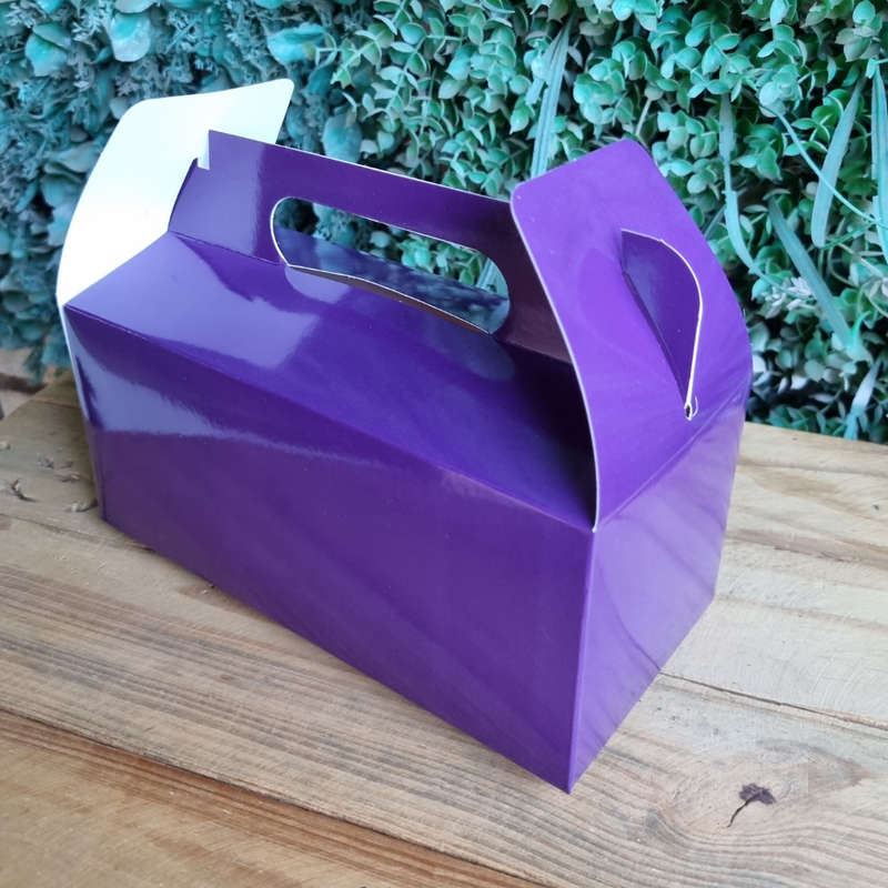 Plain Party Box Pack of 10 Purple