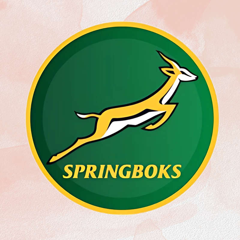 Springbok Themed Paper Plates  23cm Pack of 8