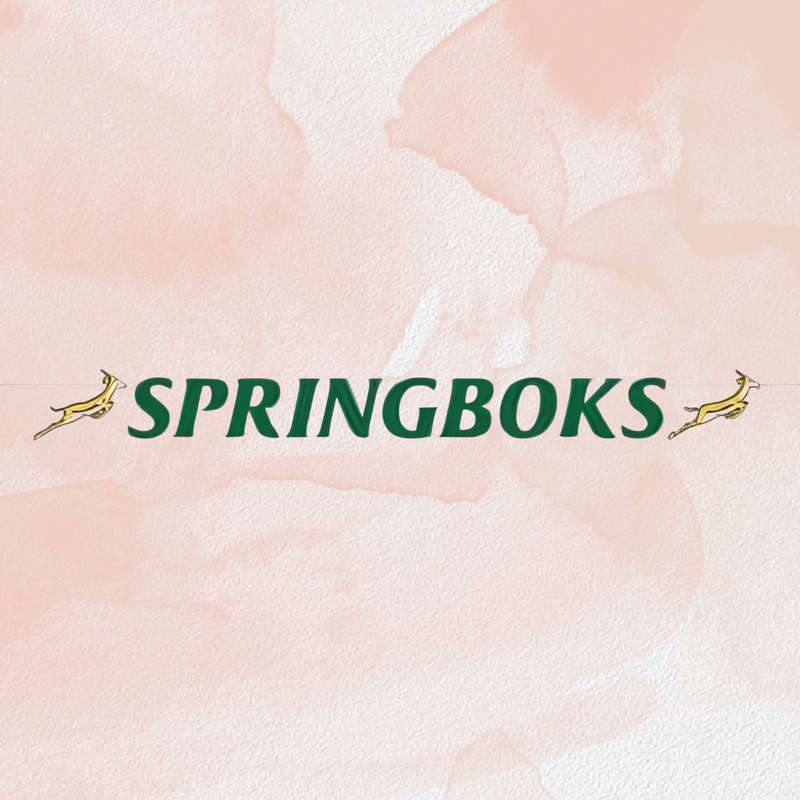 Springbok Themed Paper Banner  2m