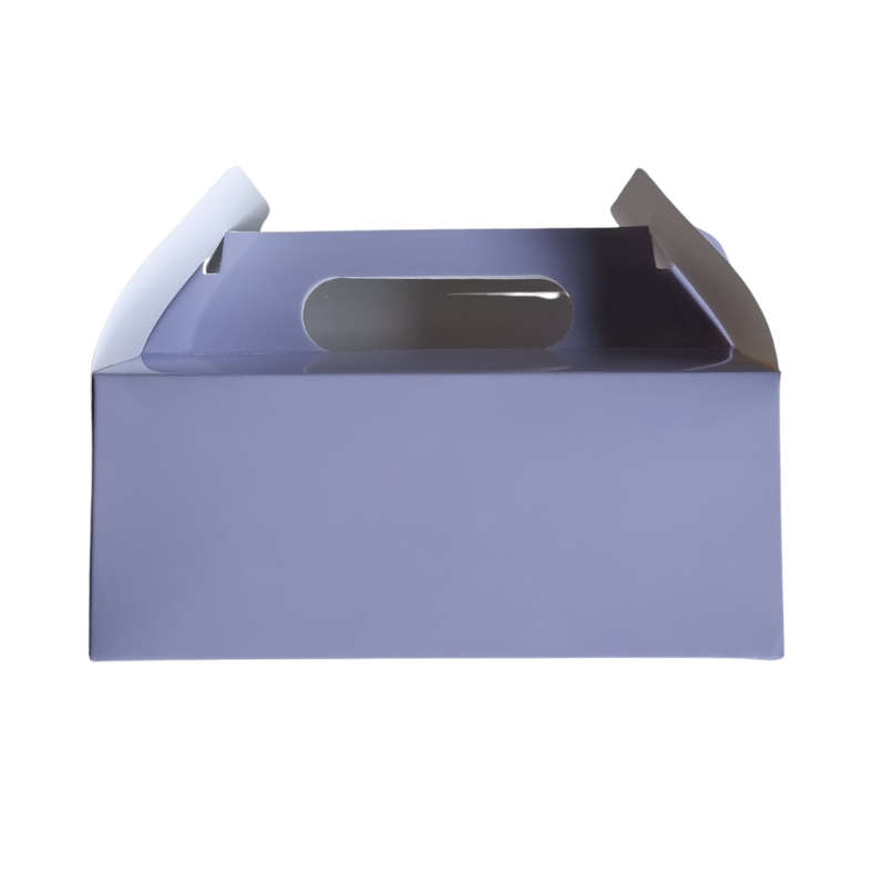 Plain Party Box Pack of 10 Lilac/light purple/pastel purple