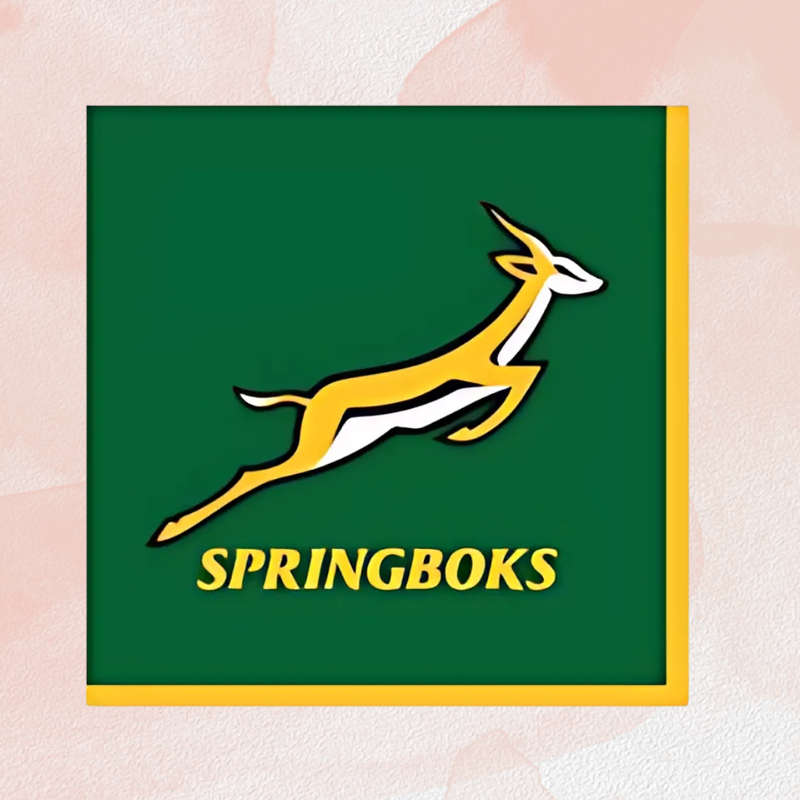 Springbok themed Napkins/Serviettes  33cm Pack of 16