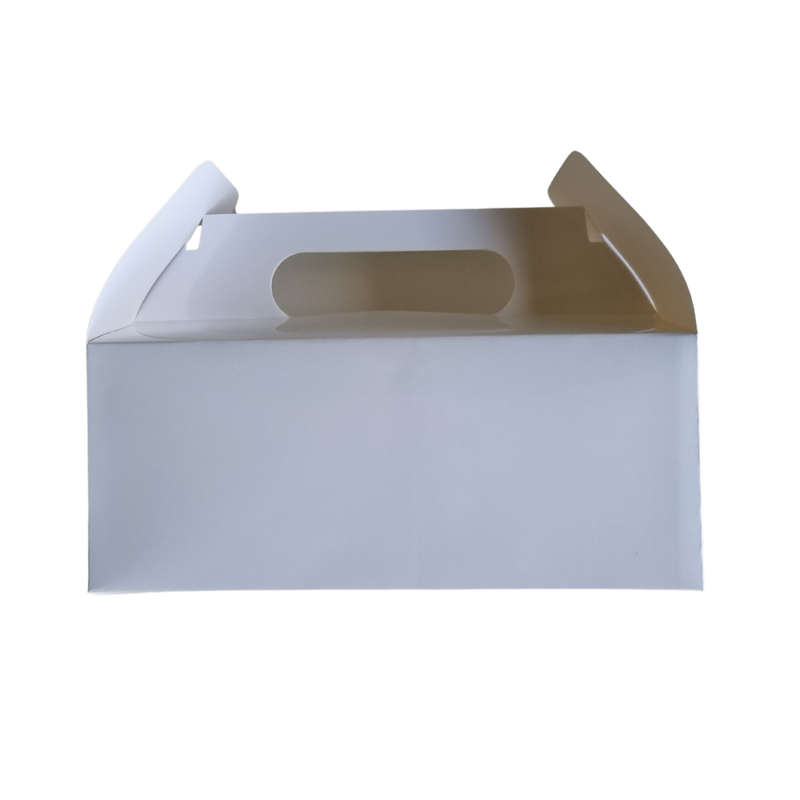 Plain Party Box Pack of 10 White