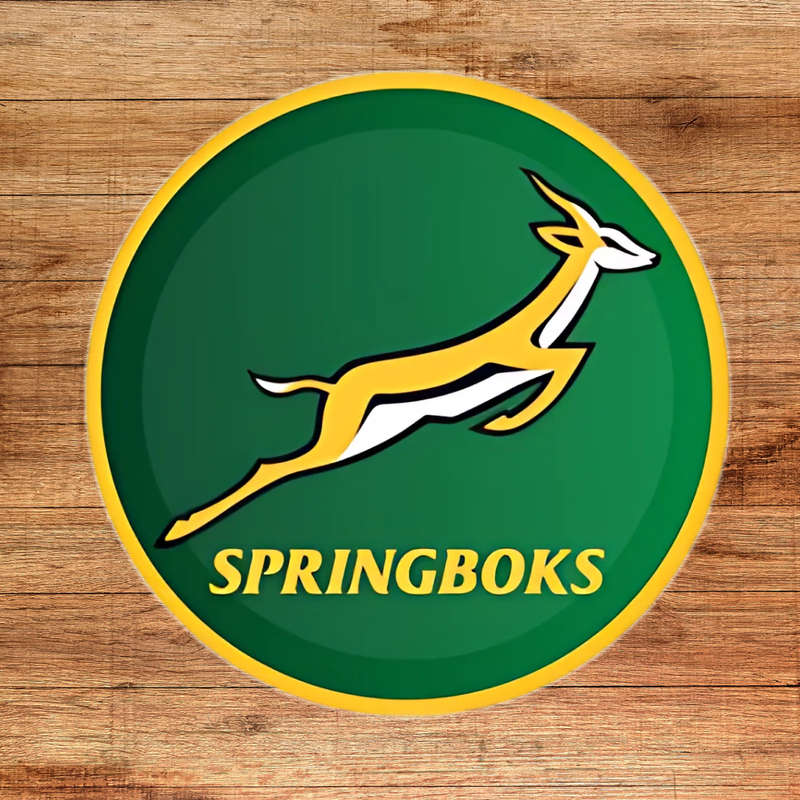Springbok Themed Paper Plates  23cm Pack of 8