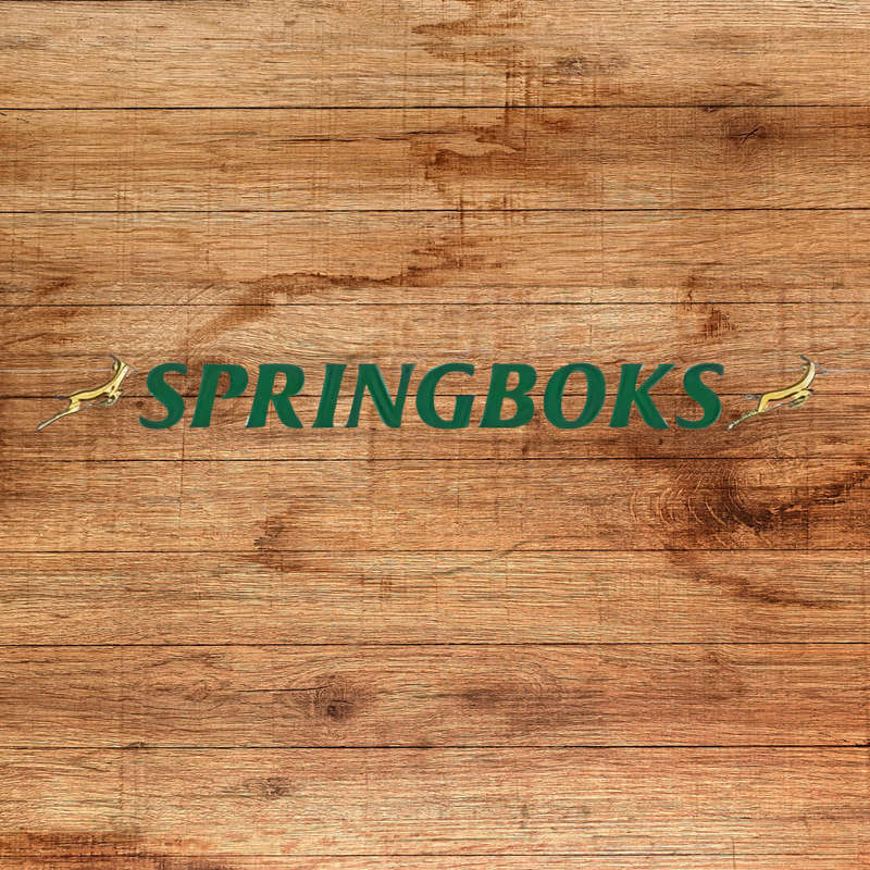 Springbok Themed Paper Banner  2m
