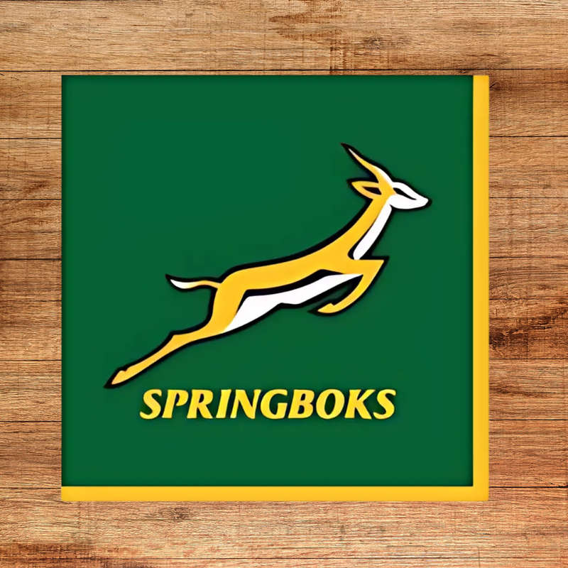 Springbok themed Napkins/Serviettes  33cm Pack of 16