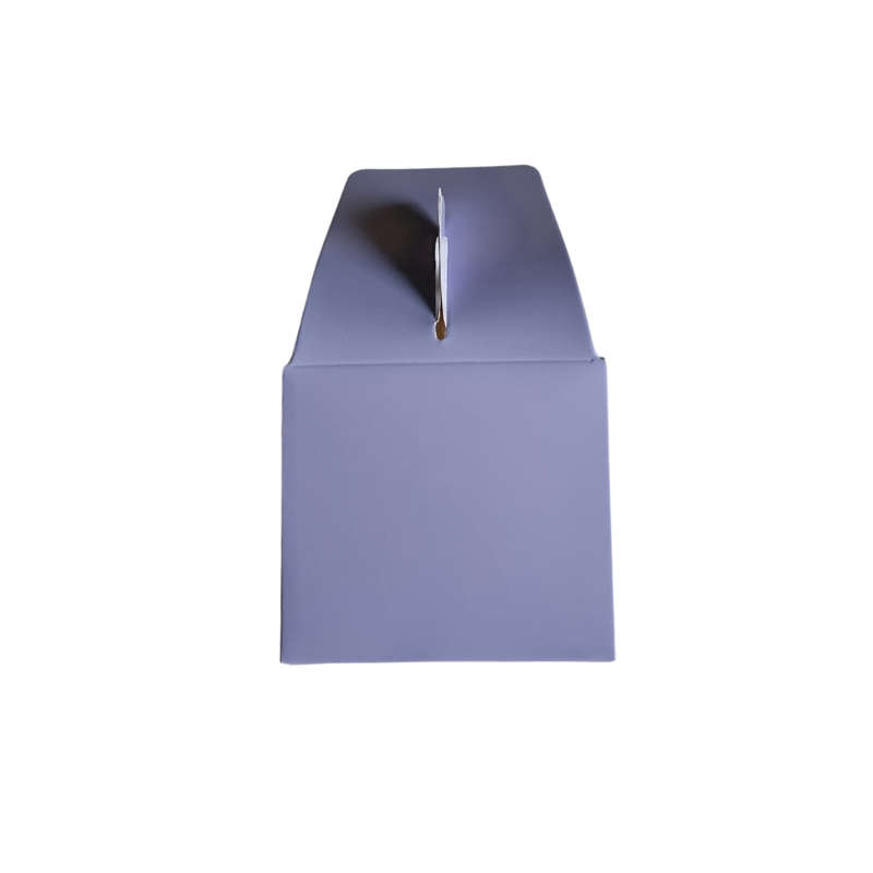 Plain Party Box Pack of 10 Lilac/light purple/pastel purple