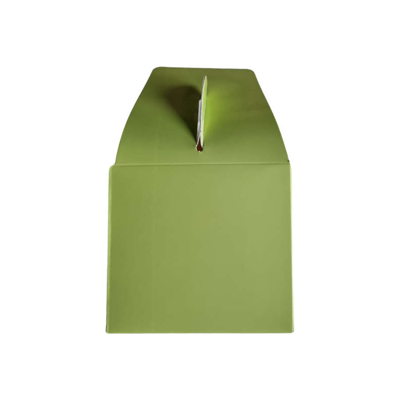 Plain Party Box Pack of 10 Lime Green