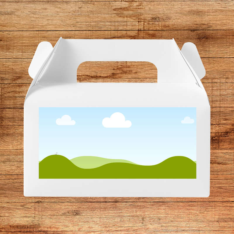 CUSTOM PARTY PACK BOX Request your own Design 5 BOXES
