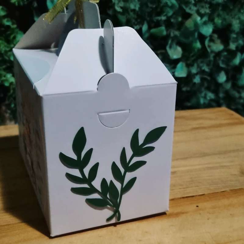 YOUNG, WILD AND FREE PARTY PACK 5 BOXES
