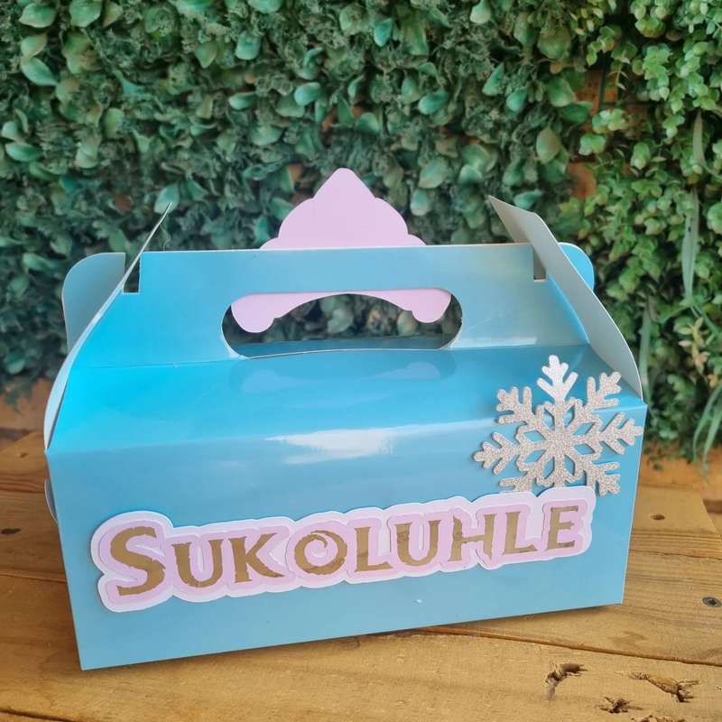 FROZEN PARTY PACK 5 BOXES