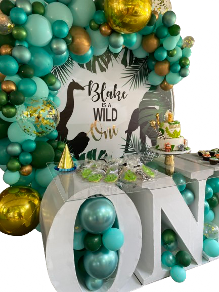 WILD ONE PARTY DECOR Round Backdrop Balloon Garland and ONE Table