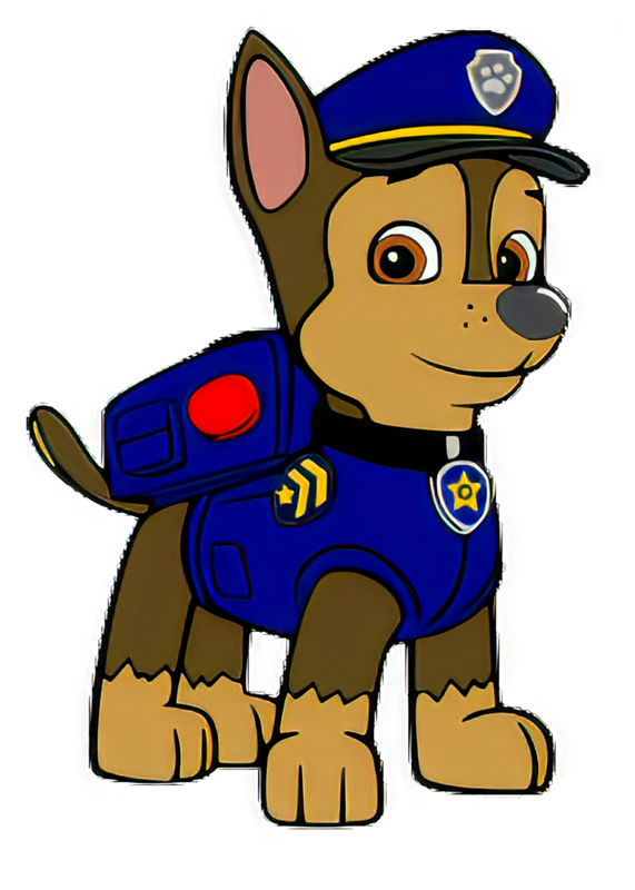 PAW PATROL GIRL PARTY DECOR Round Backdrop Balloon Garland and Character Cutouts