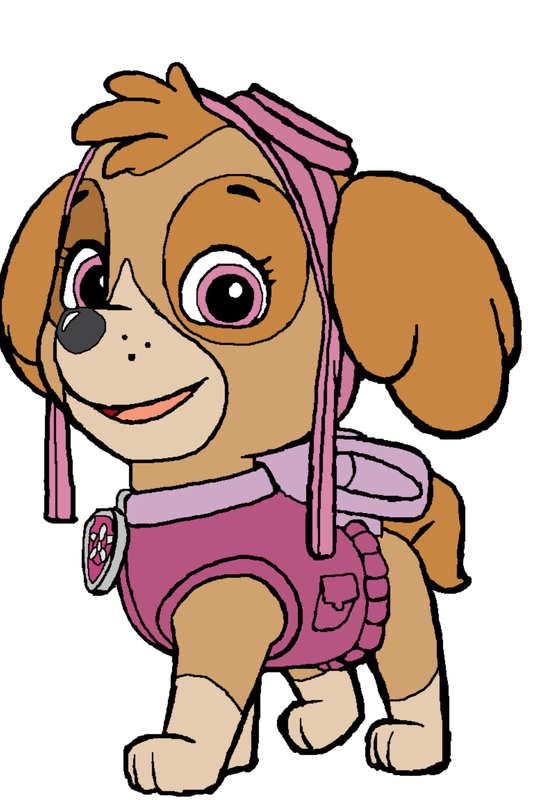 PAW PATROL GIRL PARTY DECOR Round Backdrop Balloon Garland and Character Cutouts