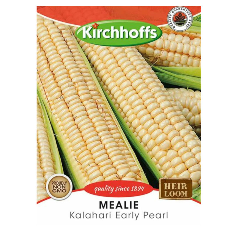 Mealie (Kalahari Early Pearl) - Kirchhoff Seeds, Vegetables