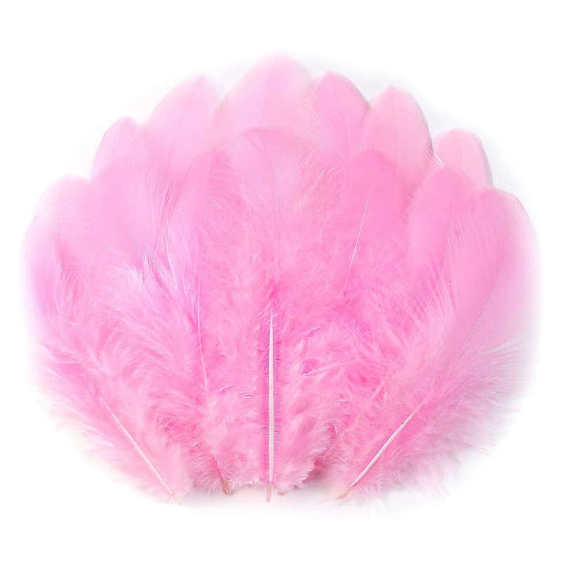 Crazy Crafts Pink Feathers  7g