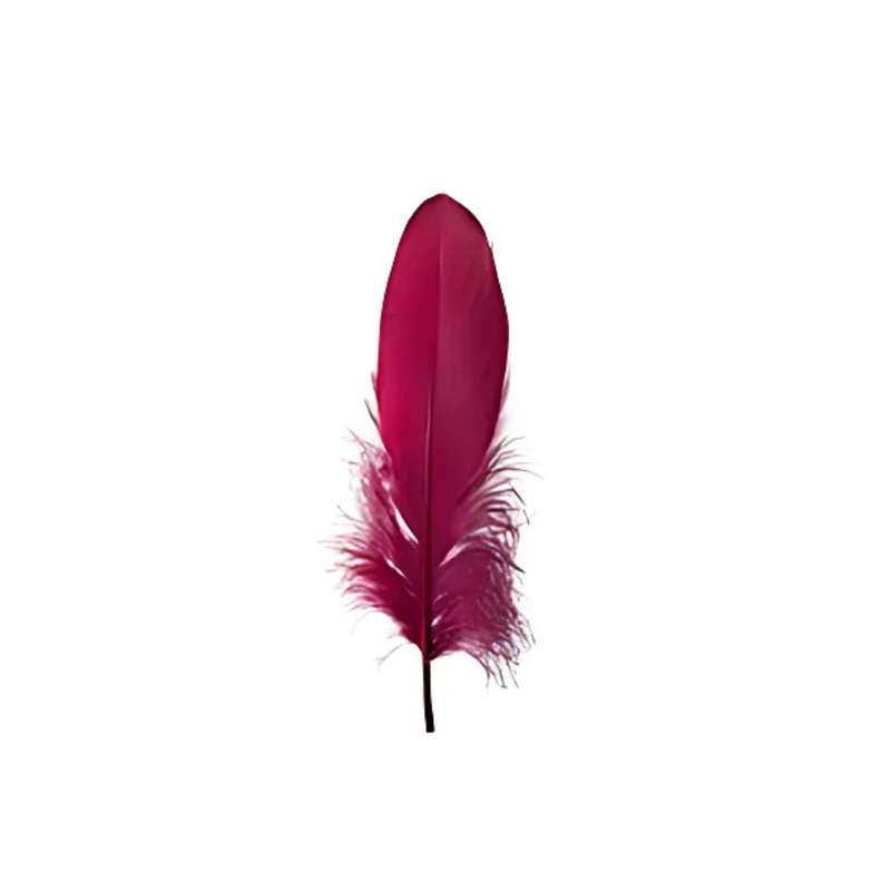 Crazy Crafts Cerise Feathers  7g