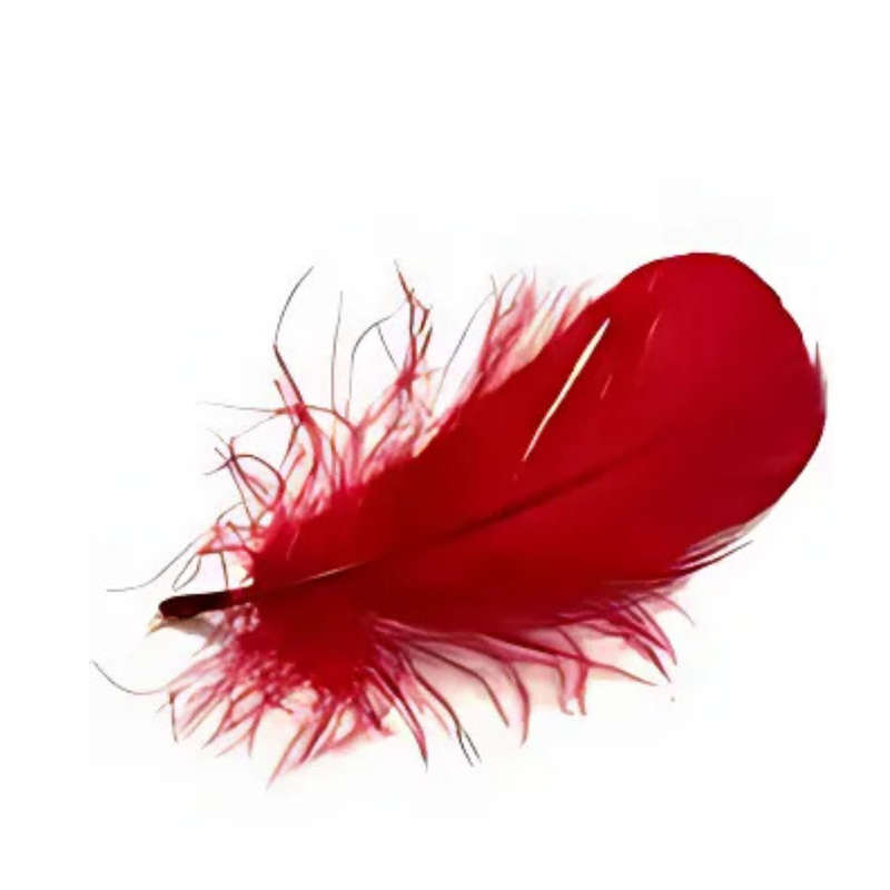 Crazy Crafts Red Feathers  7g