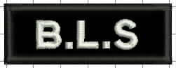 Embroidered Qualification Badges - ILS