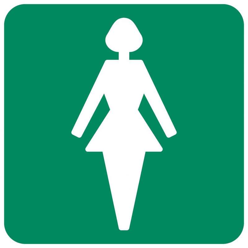 Ladies Toilet safety sign