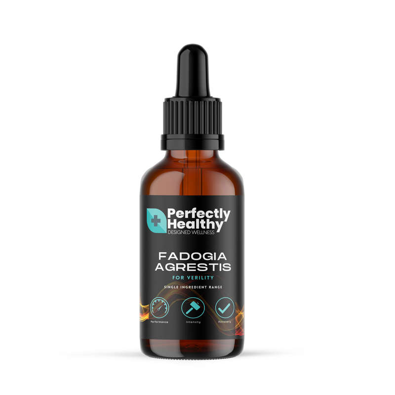 Premium Fadogia Agrestis