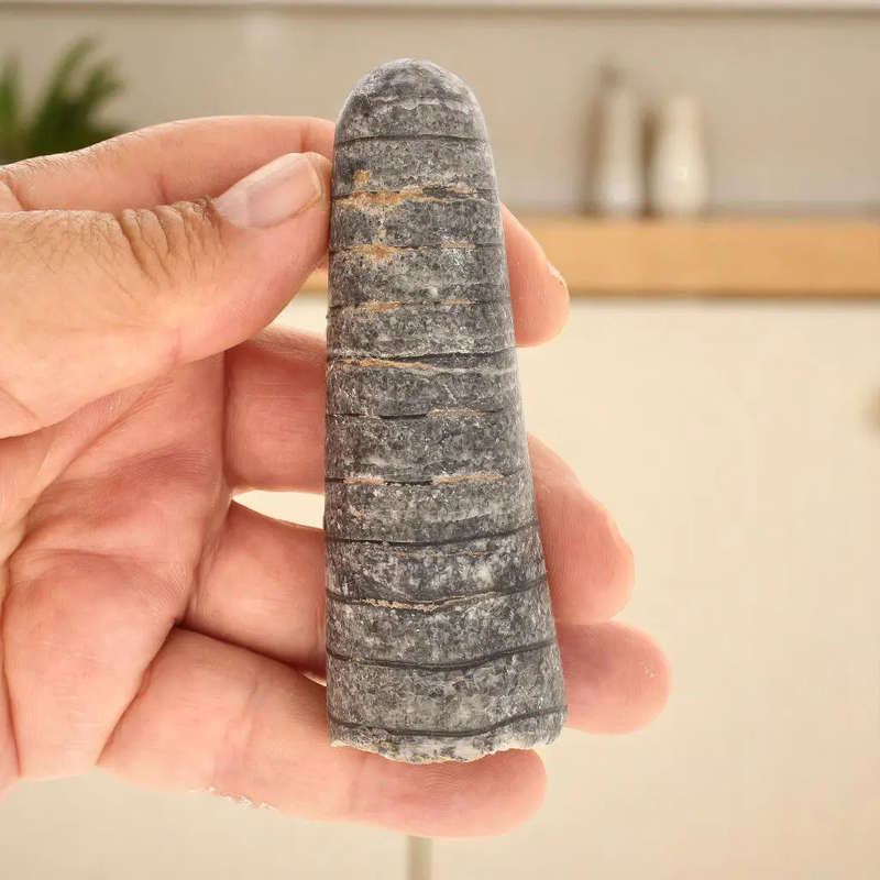 Ocean's Ancient Wonders: Fossil Gift Box of Prehistoric Treasures!