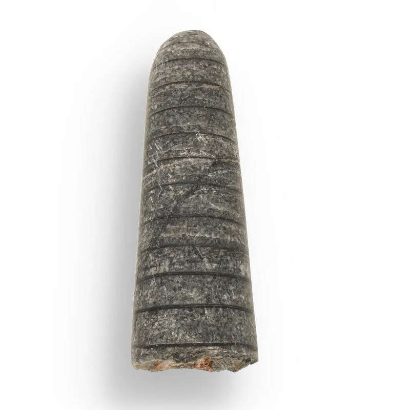 Ocean's Ancient Wonders: Fossil Gift Box of Prehistoric Treasures!