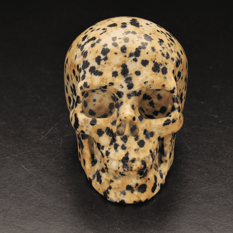Earthy Dalamtian Jasper Crystal Skull