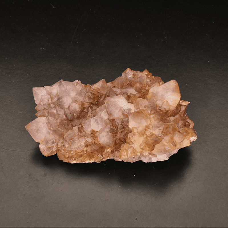 Rare Northern Cape Smoky Citrine & Amethyst Cactus Quartz