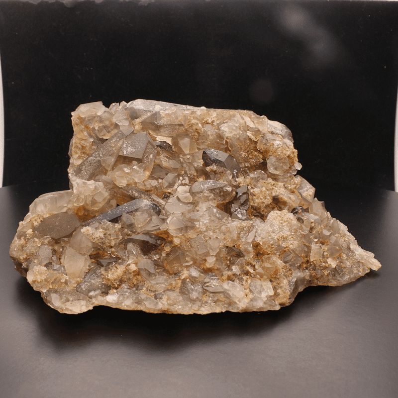 Smoky Quartz Large Cluster (Steinkopf)