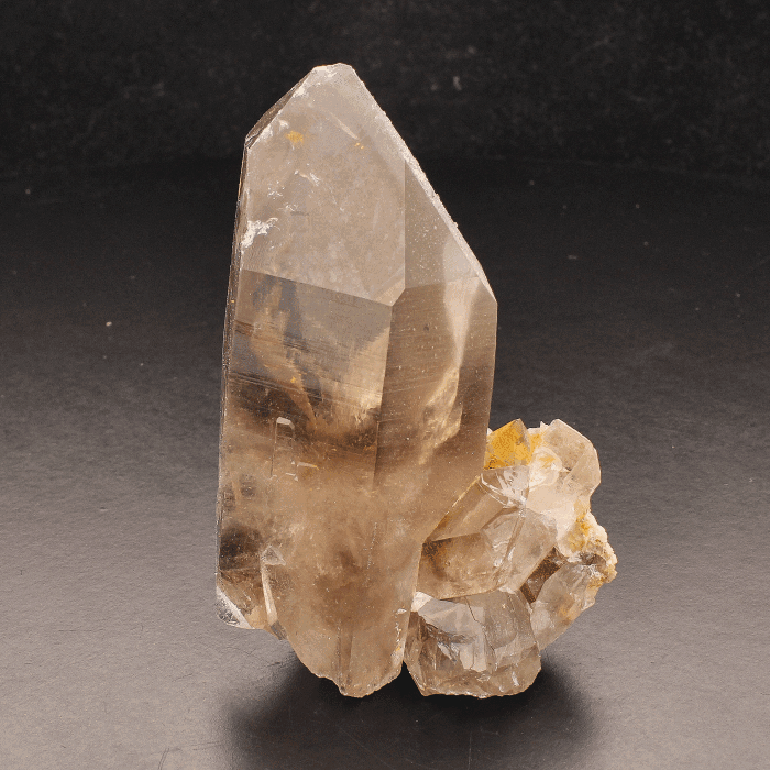 Smoky Quartz Point (Steinkopf)