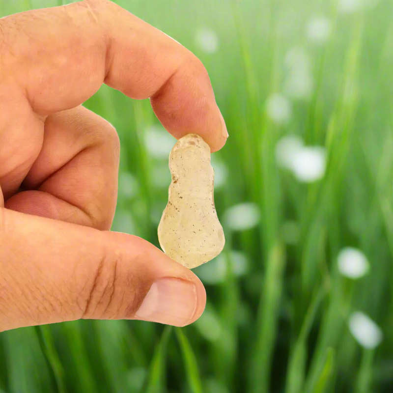 9g Libyan Desert Glass  Tektite of the Pharaohs