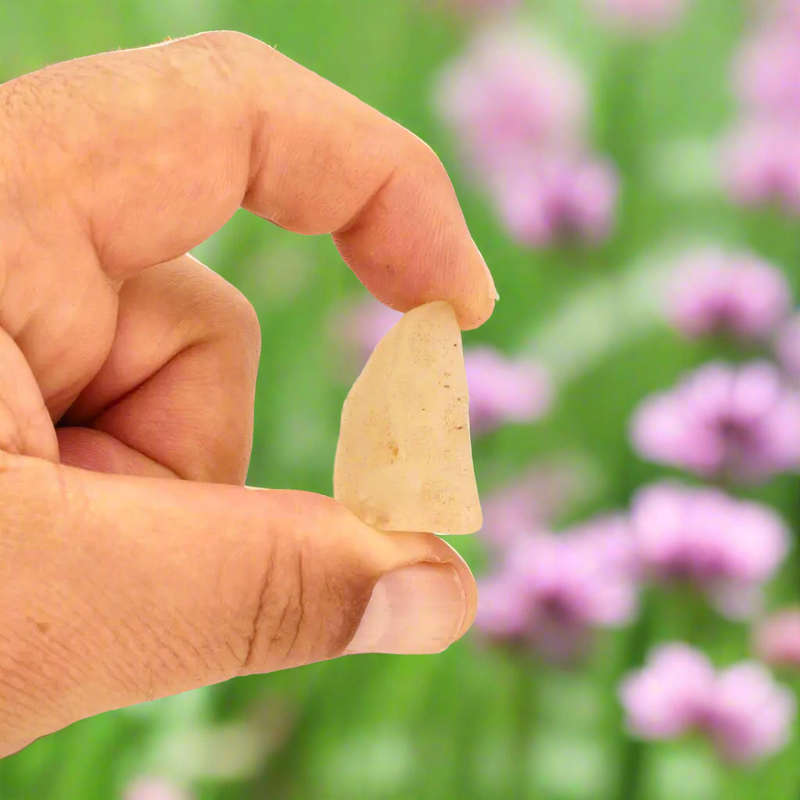 13g Libyan Desert Glass  Solar Stone of the Ancients