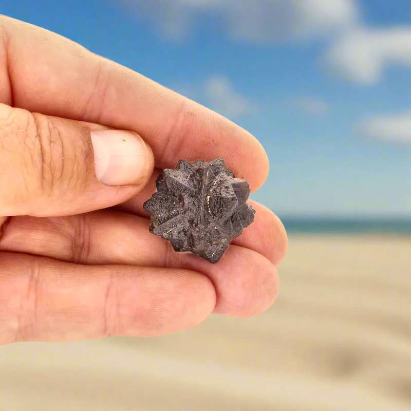 Prophecy Stone - A Rare Find from the Desert