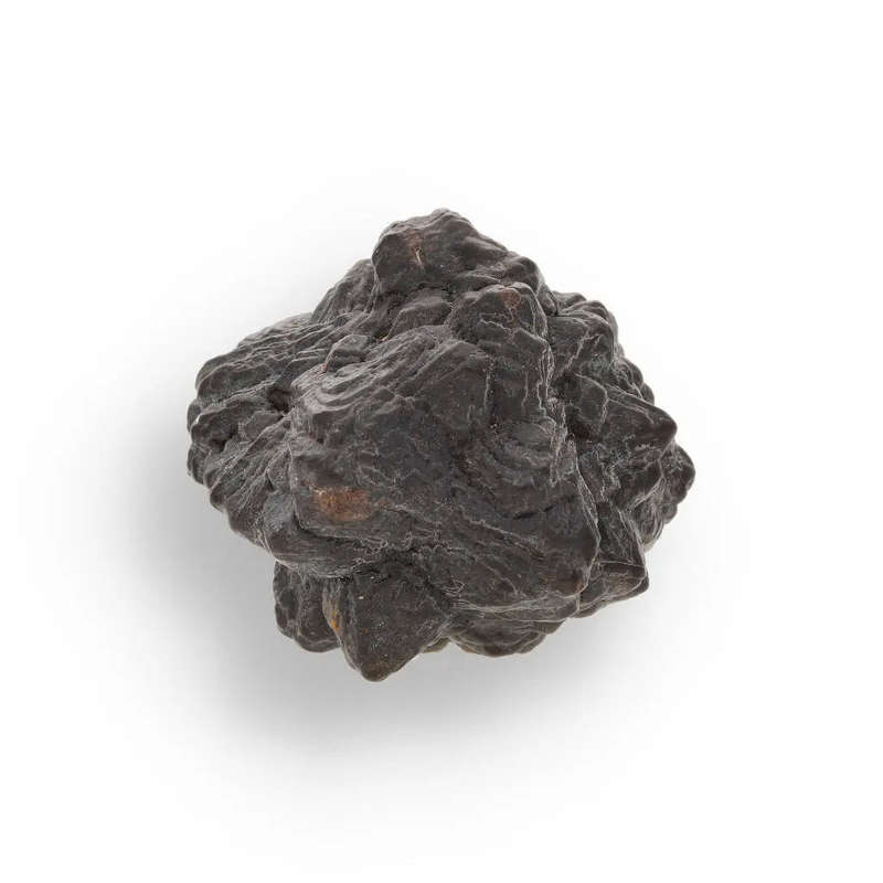Prophecy Stone - The Shamans Choice