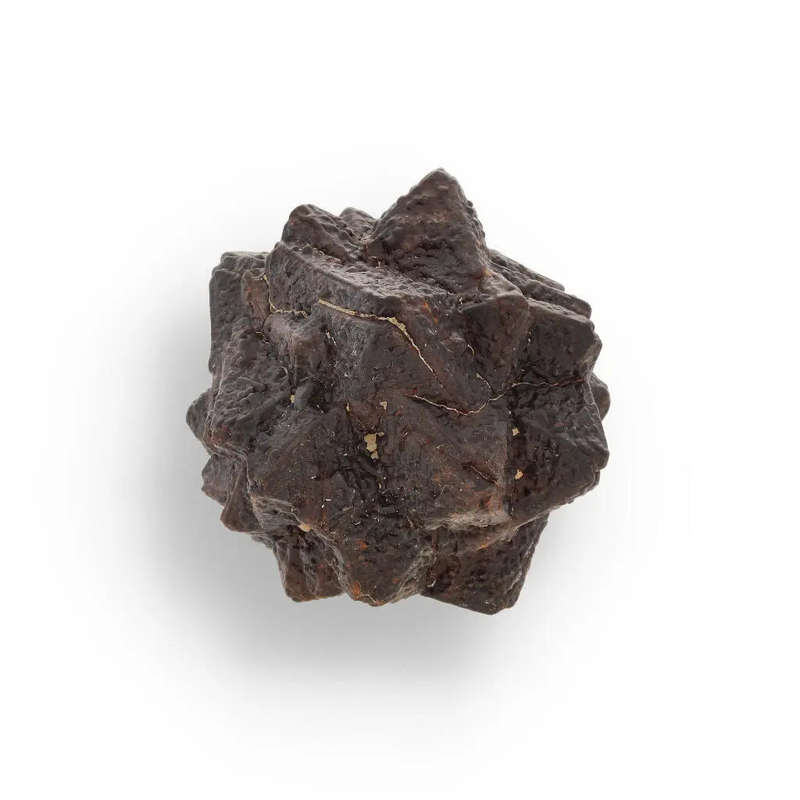 Prophecy Stone - A Rare Find from the Desert