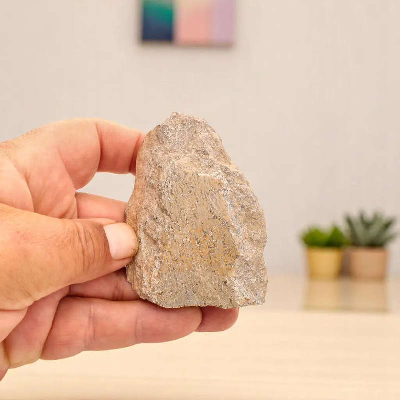 Prehistoric Treasures: The Ultimate Fossil Gift Box!